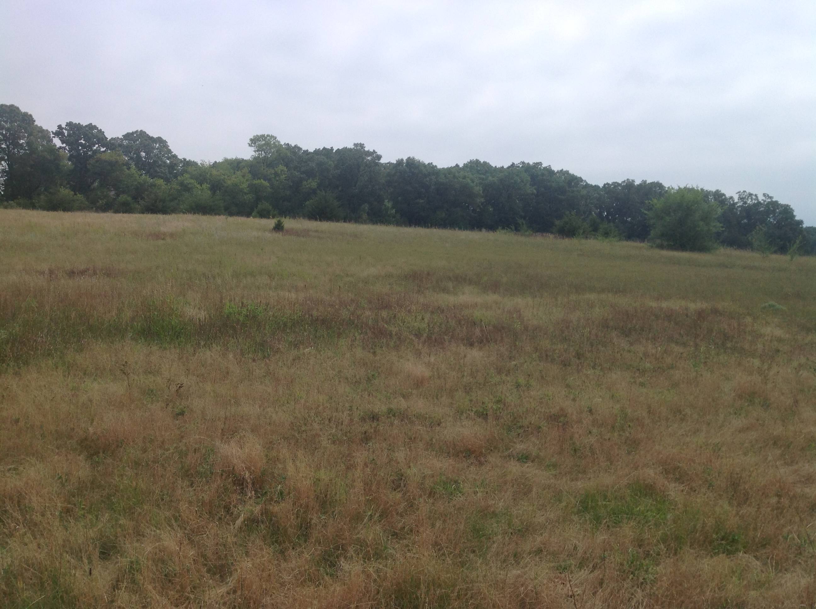 Price Reduced !!! 9.55 Acre Lot for sale PRINCETON MN R